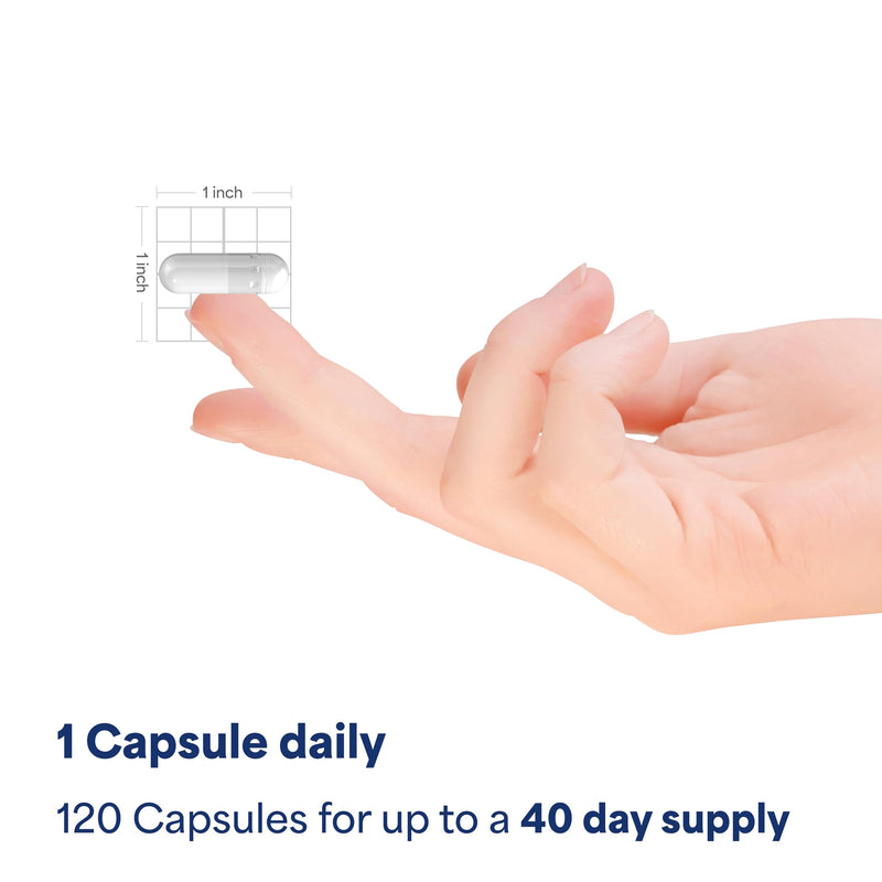 Puritan's Pride Turmeric Curcumin 1000mg – 120 Rapid Release Capsules