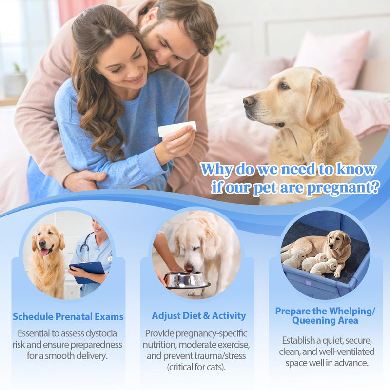 Dog & Cat Pregnancy Test Kit – At-Home Urine Test, 98.9% Accuracy, 5-Minute Results