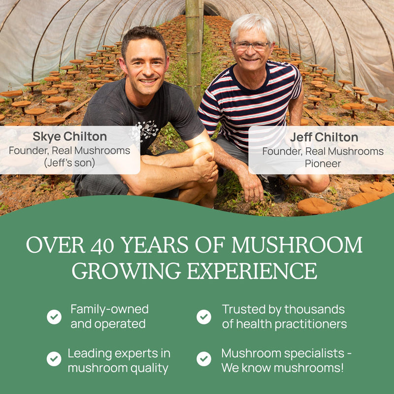 Real Mushrooms 5 Defenders Mushroom Complex Powder – Organic 5-Mushroom Blend, 100 Servings