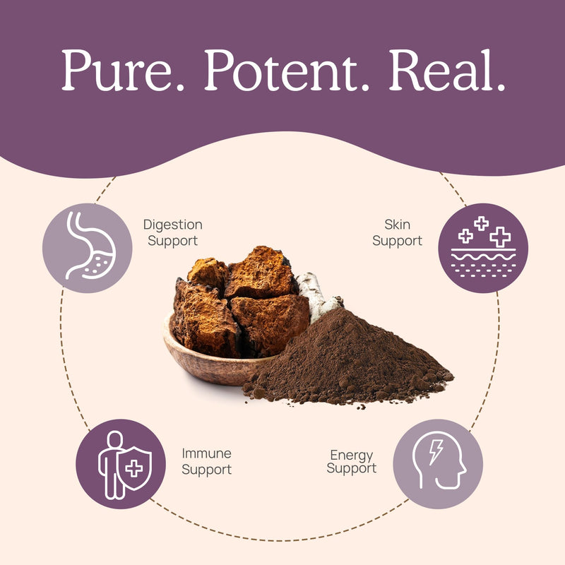 Real Mushrooms Chaga Capsules – Organic Chaga Extract, Vegan & Non-GMO, 300 Capsules