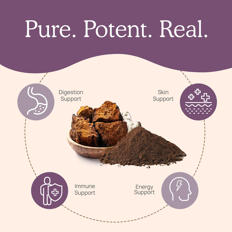 Real Mushrooms Chaga Mushroom Powder – Organic Chaga Extract (60 Servings) – Daily Wellness & Energy