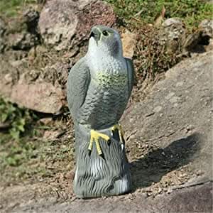 Multicoloured Realistic Falcon Bird Deterrent Garden Ornament