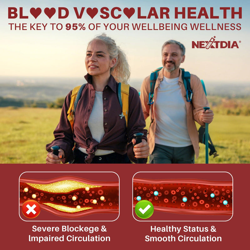 Red Yeast Rice Gummies 2400mg CoQ10 – Sugar-Free Vegan 60 Count | Cholesterol & Vascular Health
