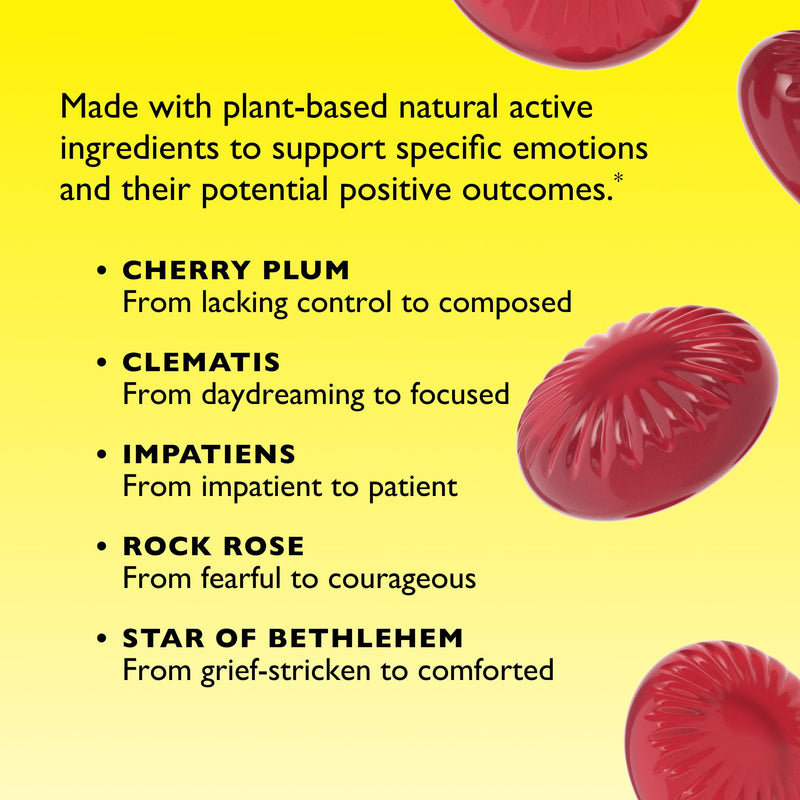 RESCUE Bach PASTILLES Mixed Berry – Stress Relief Lozenges (6 Pack)