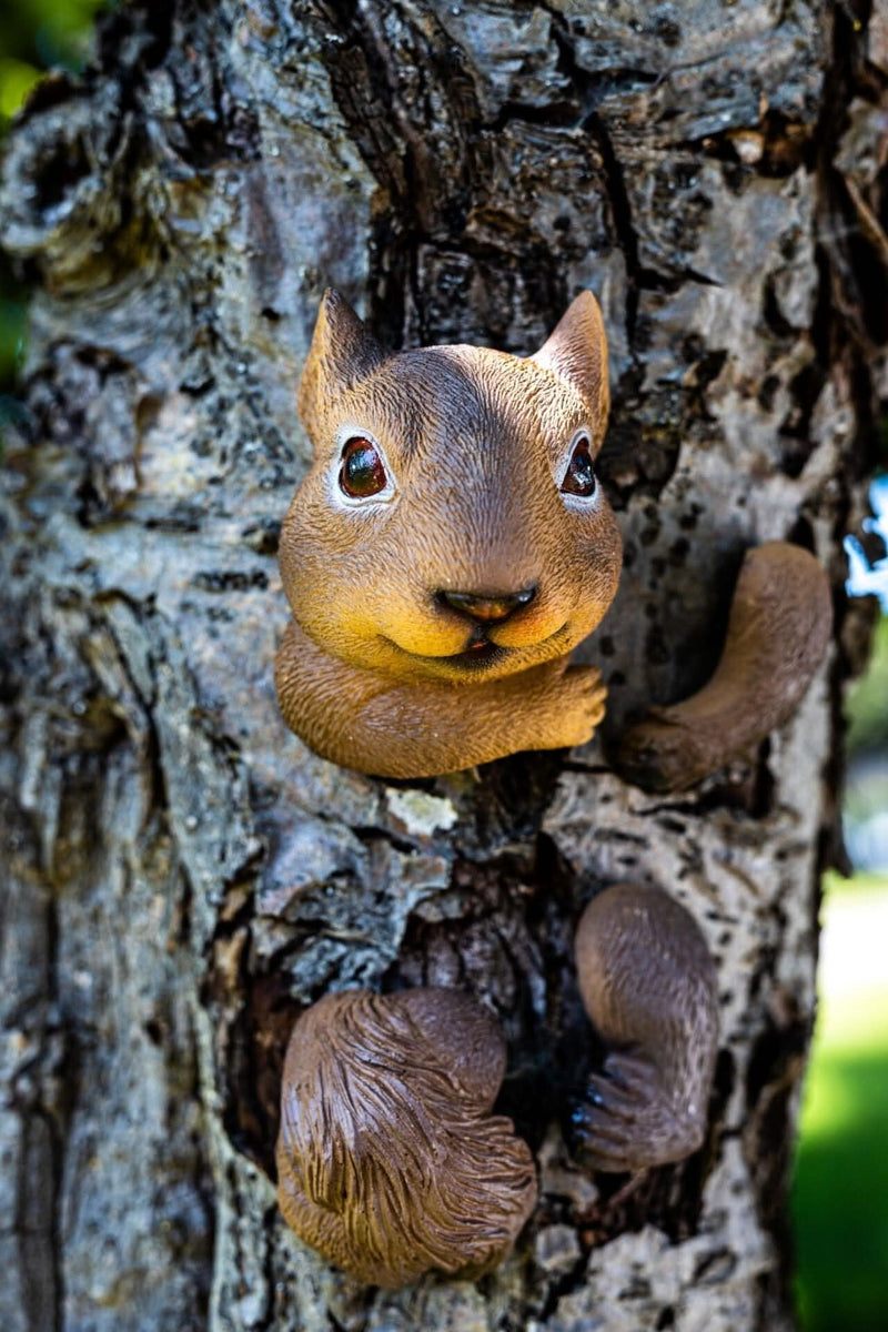 Resin Tree Hugging Squirrel Peeking Garden Ornament