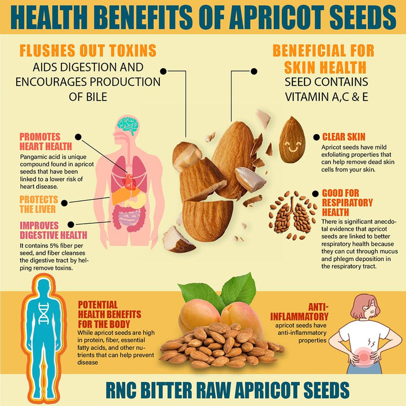 Richardson Nutritional Center Fresh Raw Bitter Apricot Seeds (2 lb) — California Grown, Lab Tested, Vegan, Gluten & GMO Free