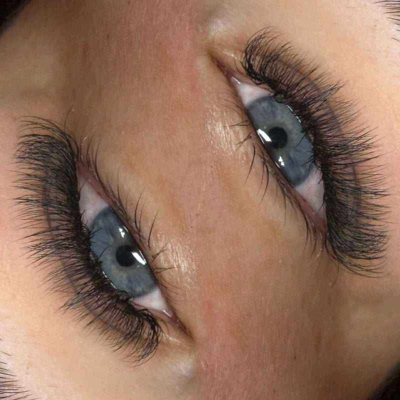 U Collection Lashes – 2DU, 3DU, 4DU & 5DU Single Length Trays