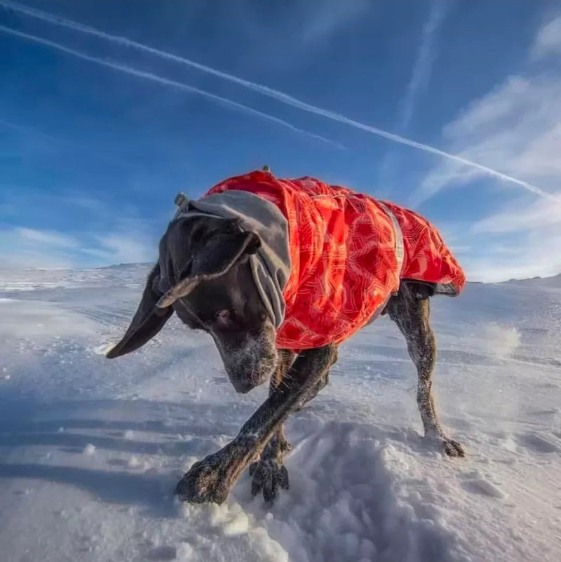 Dog Shack Winter Sherpa Dog Coat.