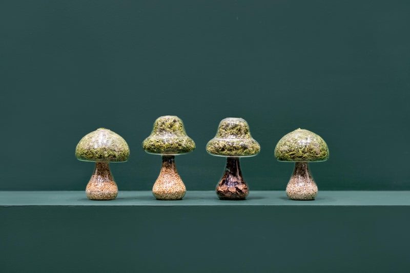 Moss Mushroom - Round - Light Stone