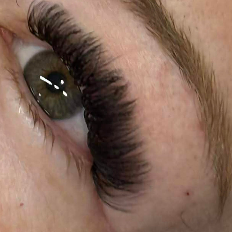 Volume Lash Sample Tray – 5 Rows