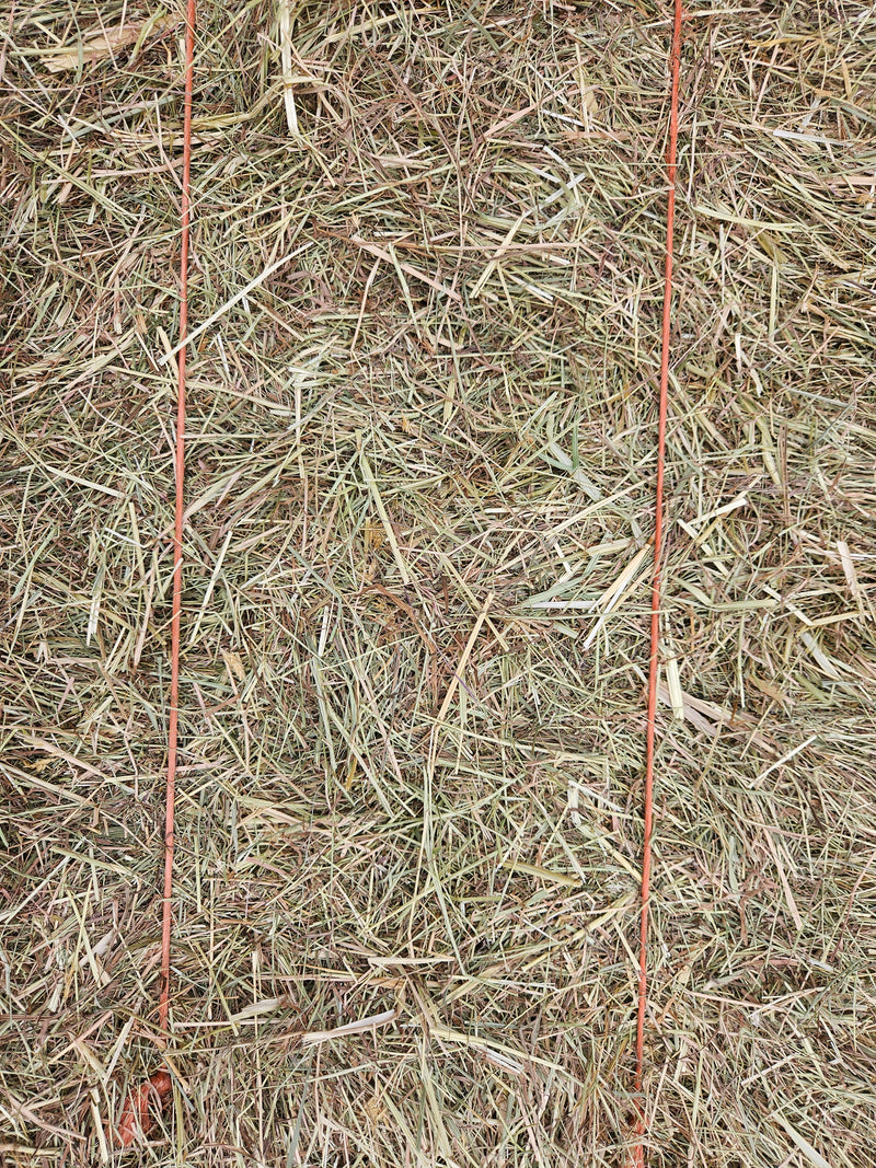 Meadow Hay Bale - The North East Pet Shop