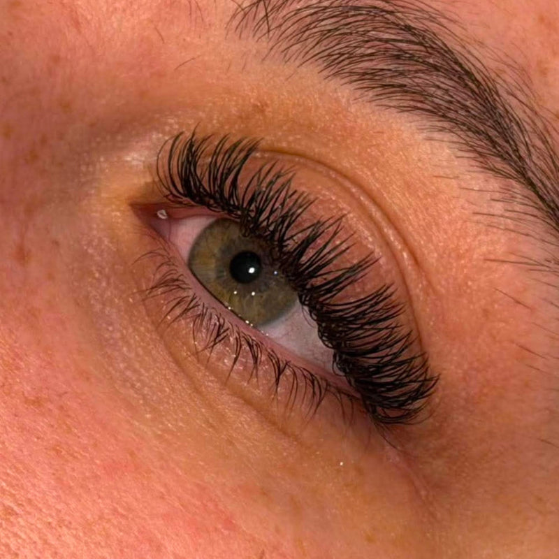 Cashmere Flat Classic Lash Sample Tray – 5 Rows