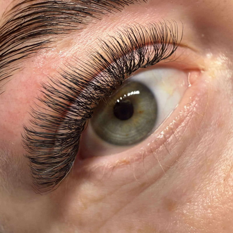 U Collection Lashes – 2DU, 3DU, 4DU & 5DU Single Length Trays