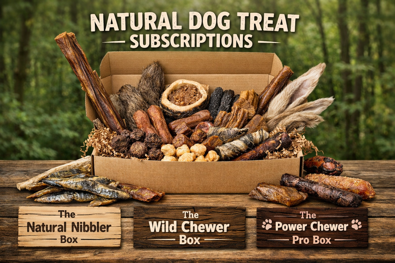 The Natural Nibbler Box