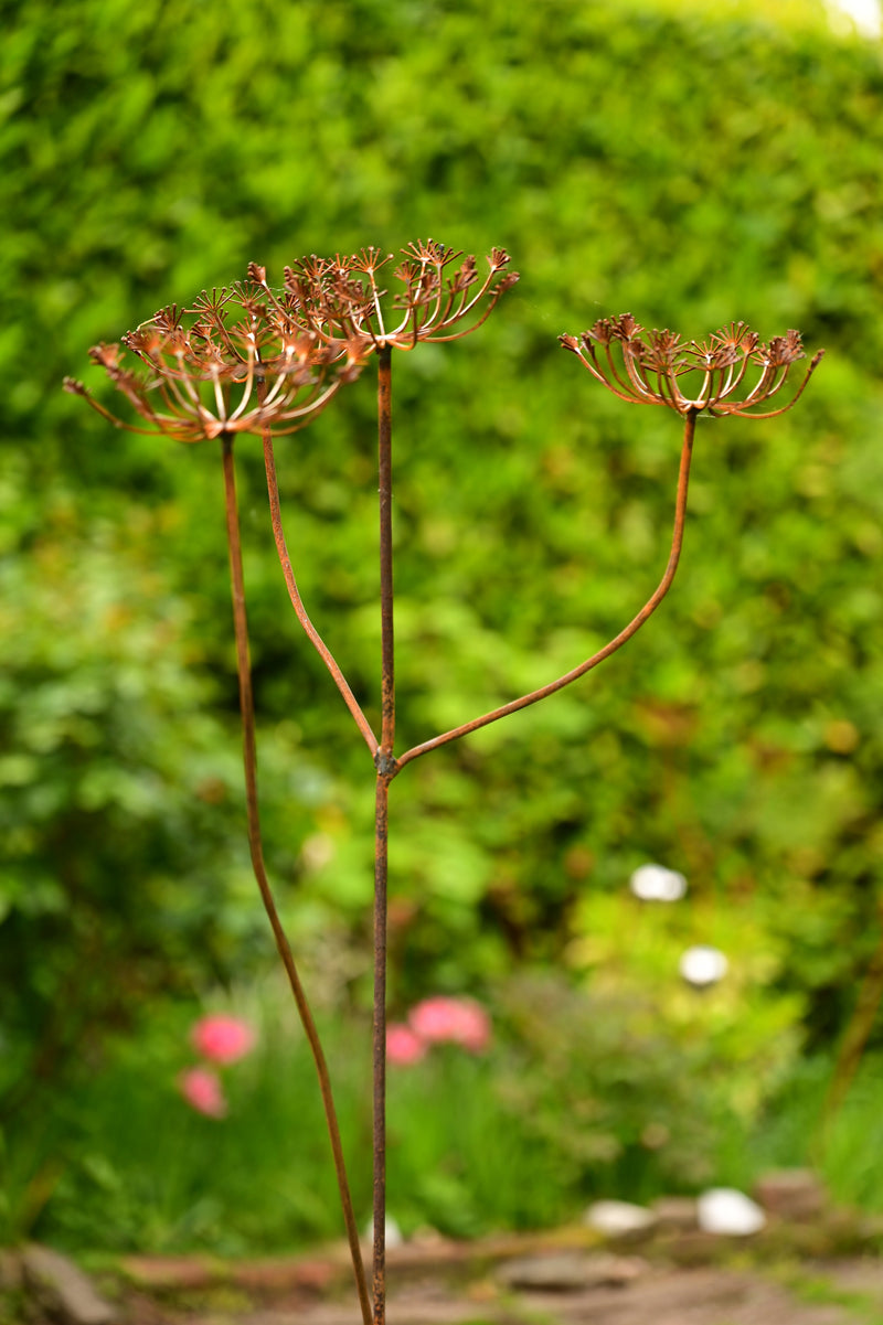 Rusty Metal Cow Parsley