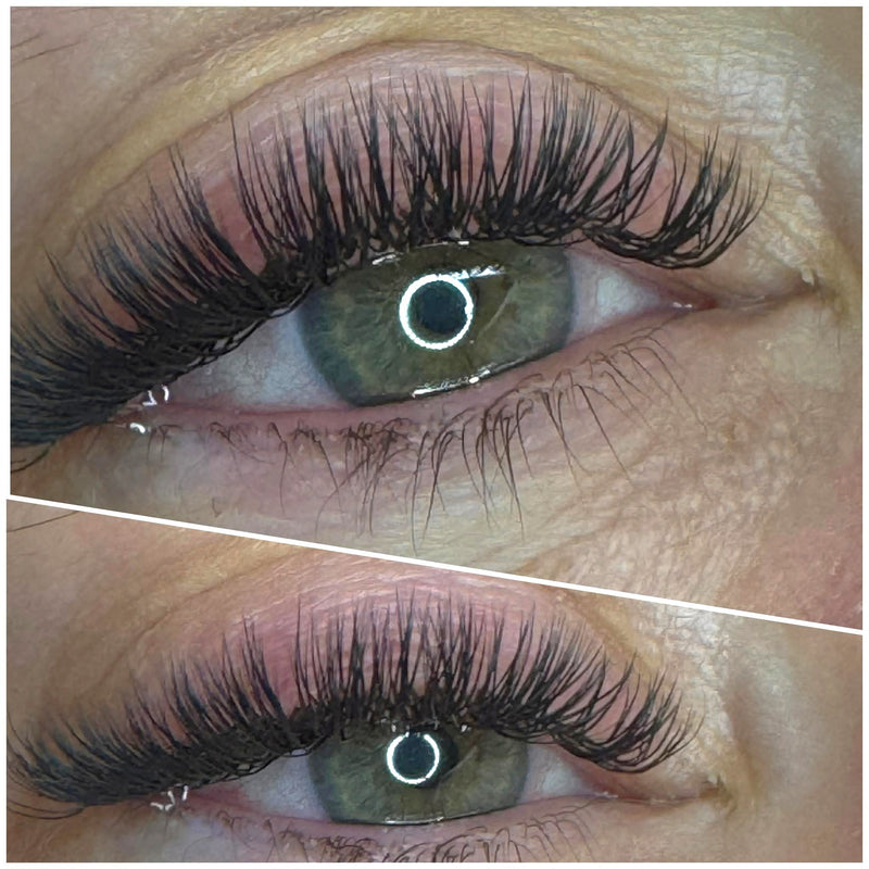U Collection Lashes – 2DU, 3DU, 4DU & 5DU Single Length Trays
