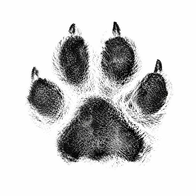 Oh So Precious Paw Print Non-Toxic Ink Pad Standard 12.5cm
