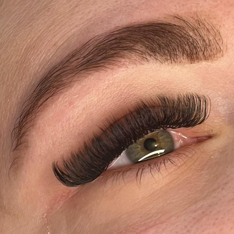 U Collection Lashes – 2DU, 3DU, 4DU & 5DU Single Length Trays