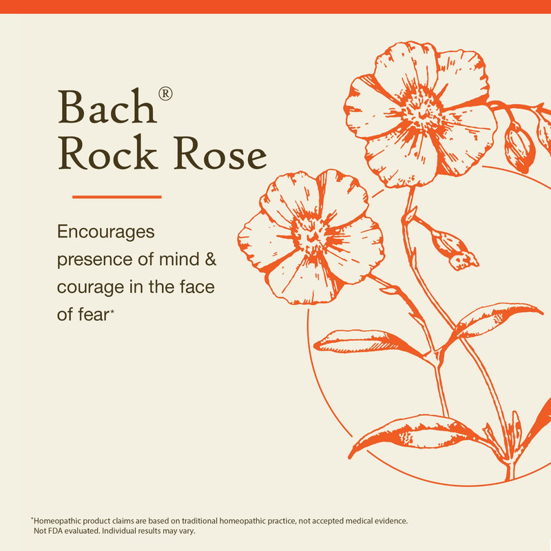 Bach Original Flower Remedies: Rock Rose – Have Courage | 20mL Dropper