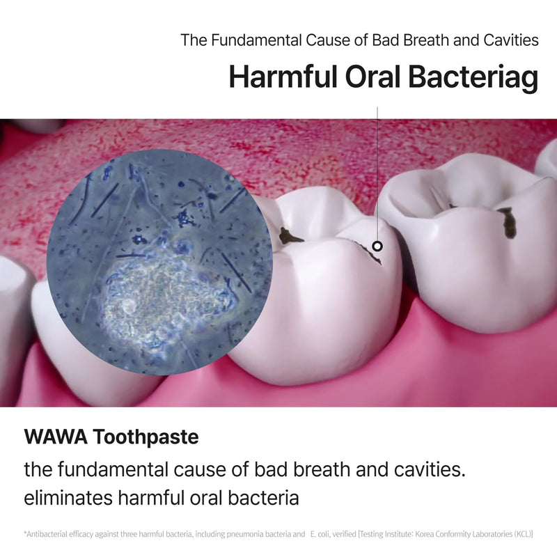 ROROBELL Wawa Toothpaste Made for My Boyfriend's Bad Breath, Sensitive Teeth, Improvement of Gum Problems/Peppermint Flavor/Made with Wasabi I 3.53 fl.oz (Pack of 3)