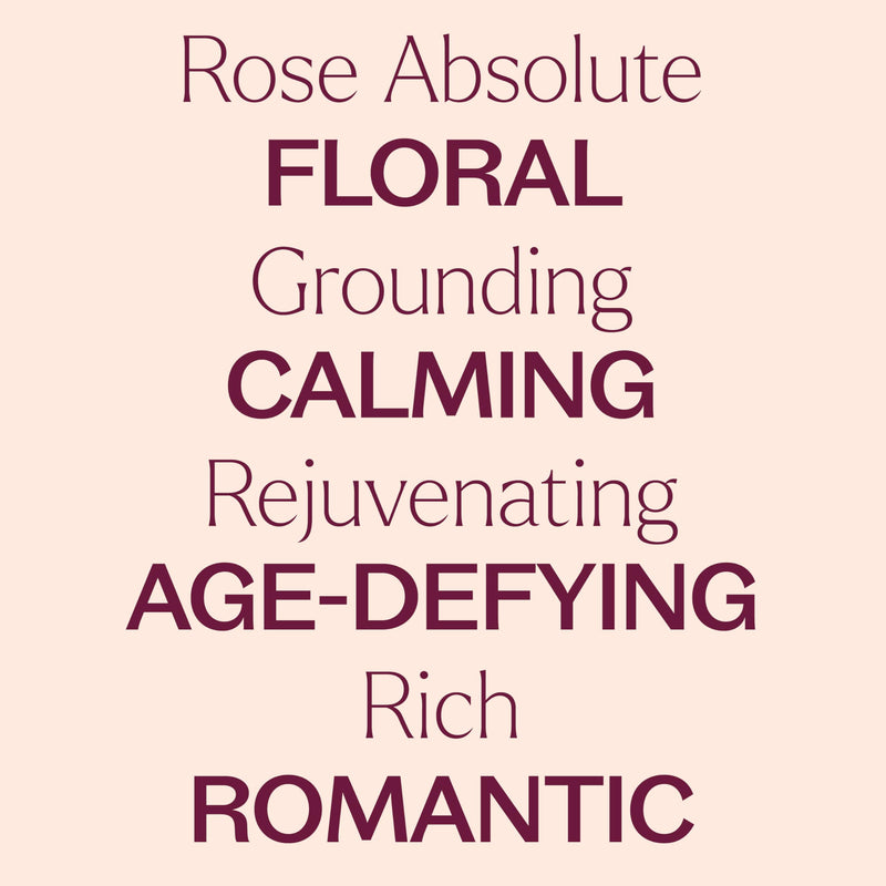 Rose Absolute Essential Oil 5 mL – Plant Therapy | 100% Pure