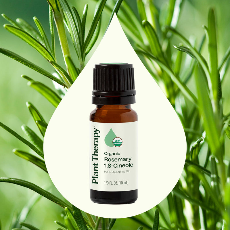 Plant Therapy Rosemary Essential Oil 100% Pure - USDA Organic, 10 mL