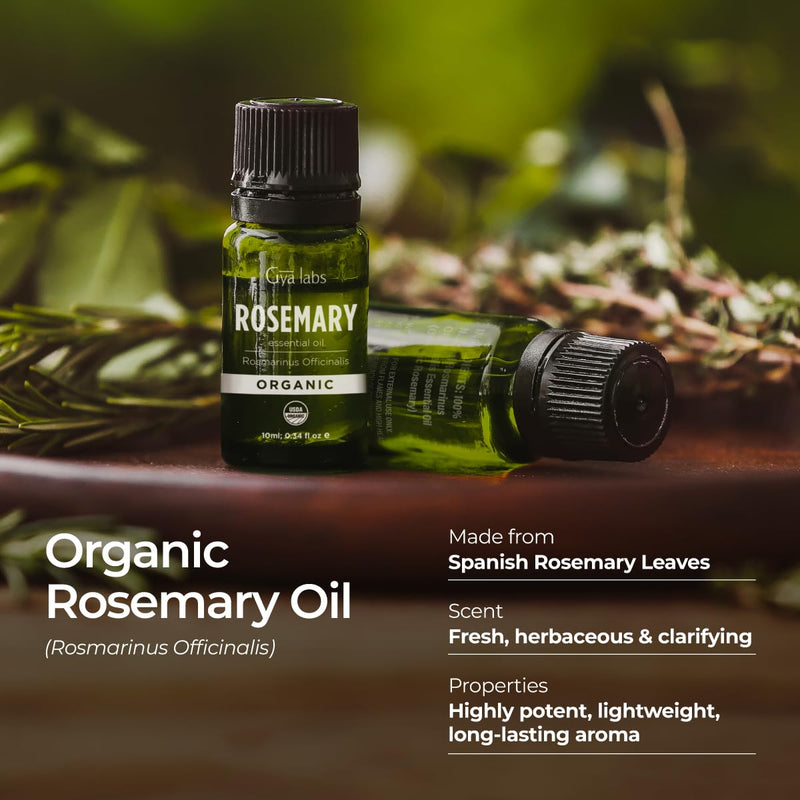 Gya Labs Organic Rosemary Essential Oil 0.34 Fl Oz - Hair, Skin, Diffuser