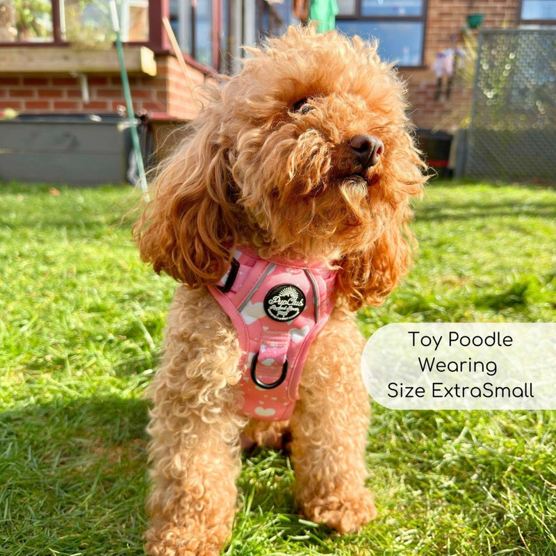 Rugged Rover™ Harness - Peachy Hearts