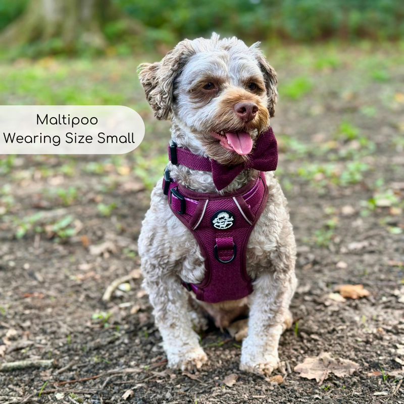Rugged Rover™ Harness - Berry Tweed