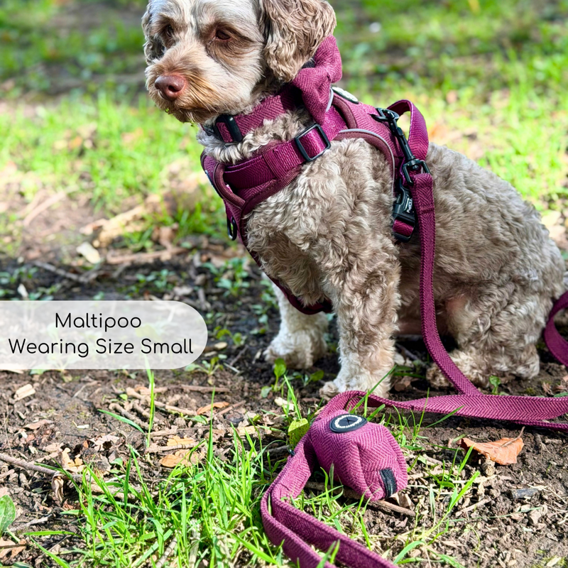 Rugged Rover™ Harness - Berry Tweed