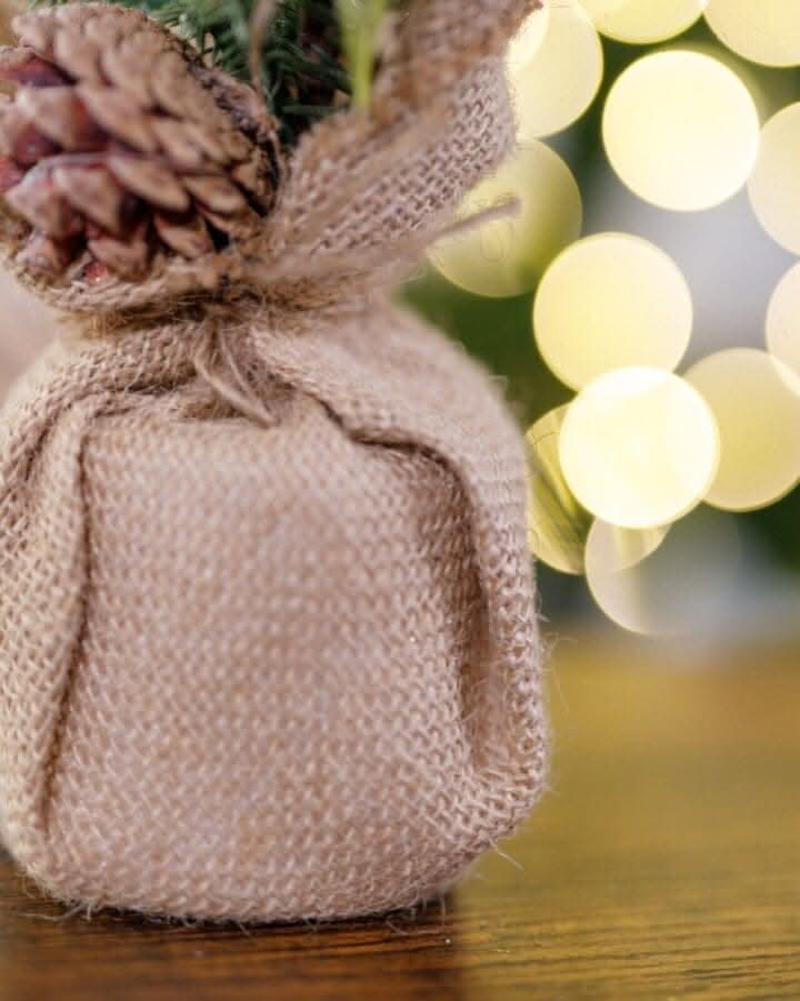Pinecone and Eucalyptus Artificial Mini Tree Decoration in Jute Bag