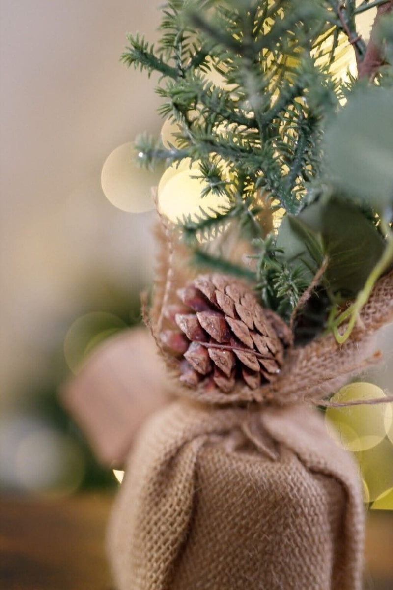 Pinecone and Eucalyptus Artificial Mini Tree Decoration in Jute Bag