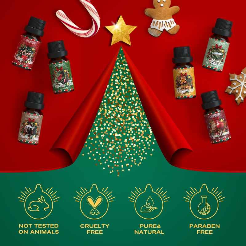 SALUBRITO Christmas Fragrance Oils Set - Winter Scents for Diffusers & Candles