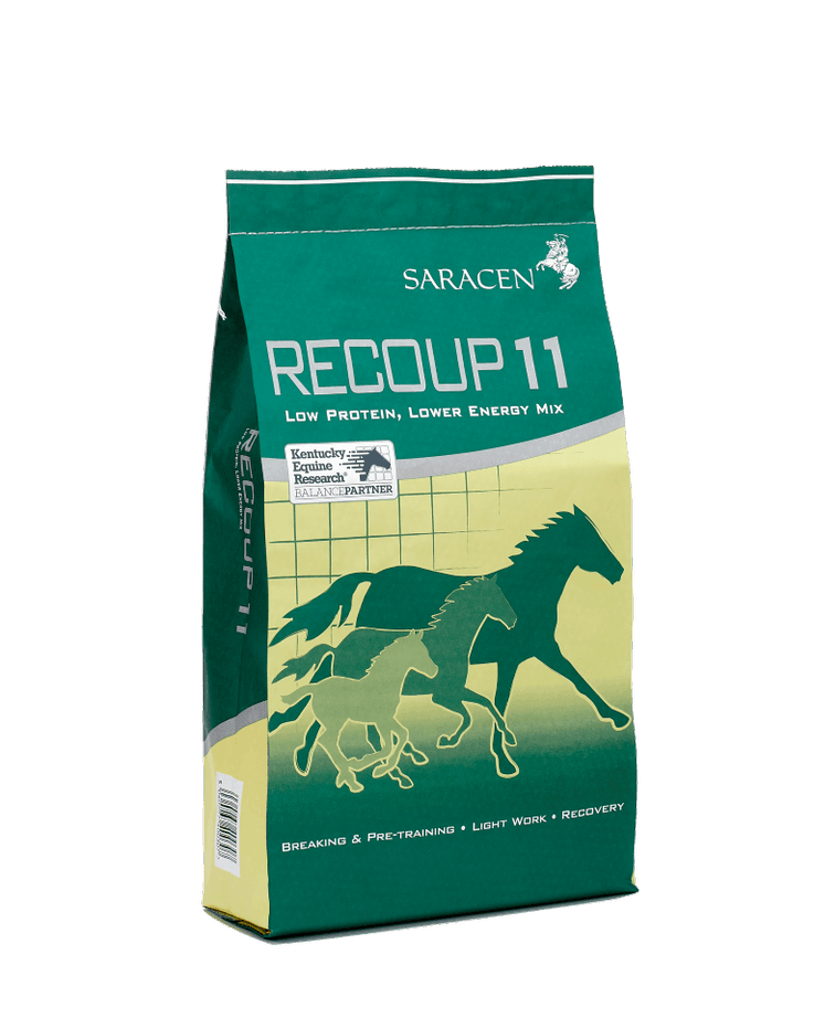 Saracen Re-Coup 11 20kg