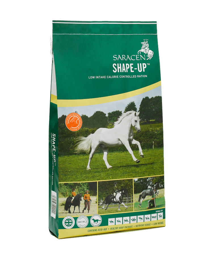 Saracen Shape-Up 20kg