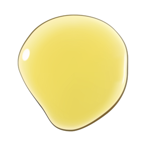 Seal It 6-in-1 Oil for Shine