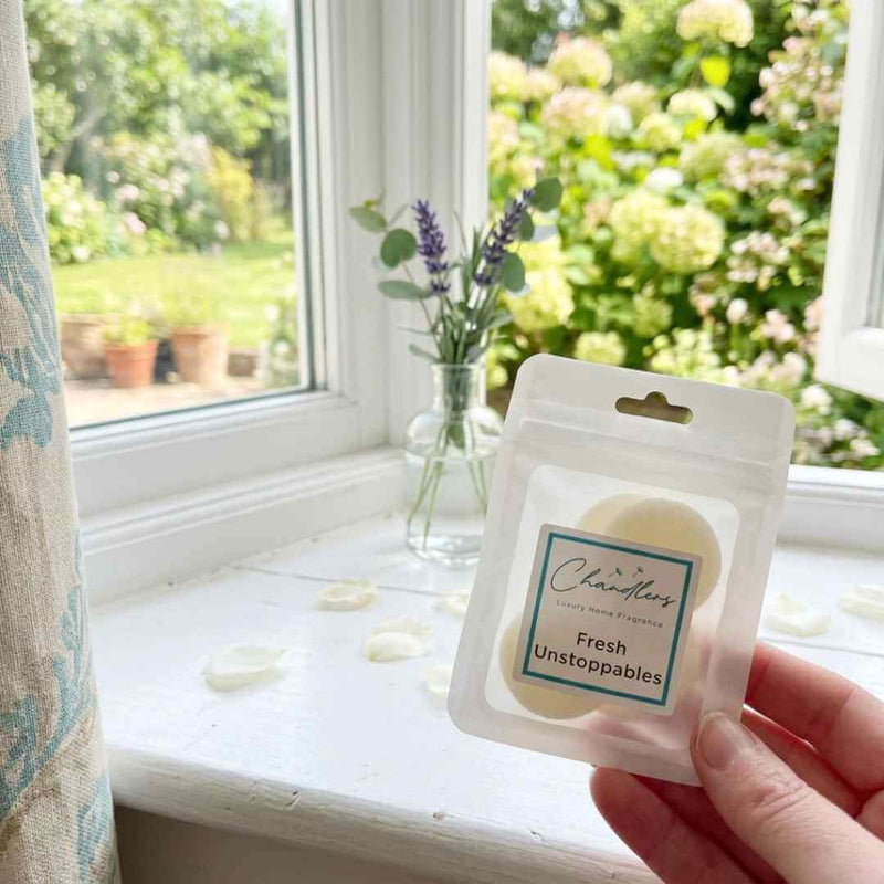 Scented Hoover Discs - Vacuum Fresheners