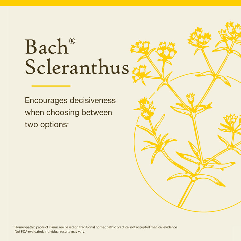 Bach Scleranthus Original Flower Remedy – Be Decisive | 20mL Dropper