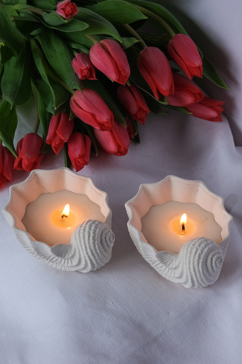 Seashell Shaped Candle - Scented