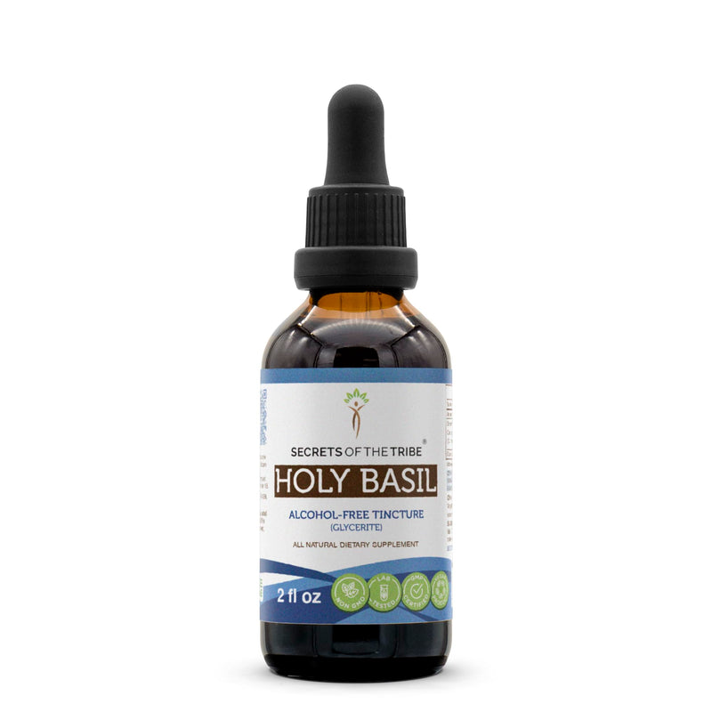Secrets of the Tribe Holy Basil Tincture – Alcohol-Free Extract, 2 FL OZ | Ocimum Tenuiflorum