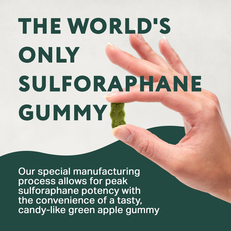Sensory Scout NeuroBrocc Sulforaphane Gummies – Vegan Green Apple, 60 Gummies