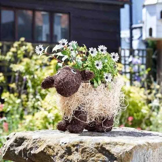 Shelley Sheep Rattan Garden Planter Animal Ornament 33cm