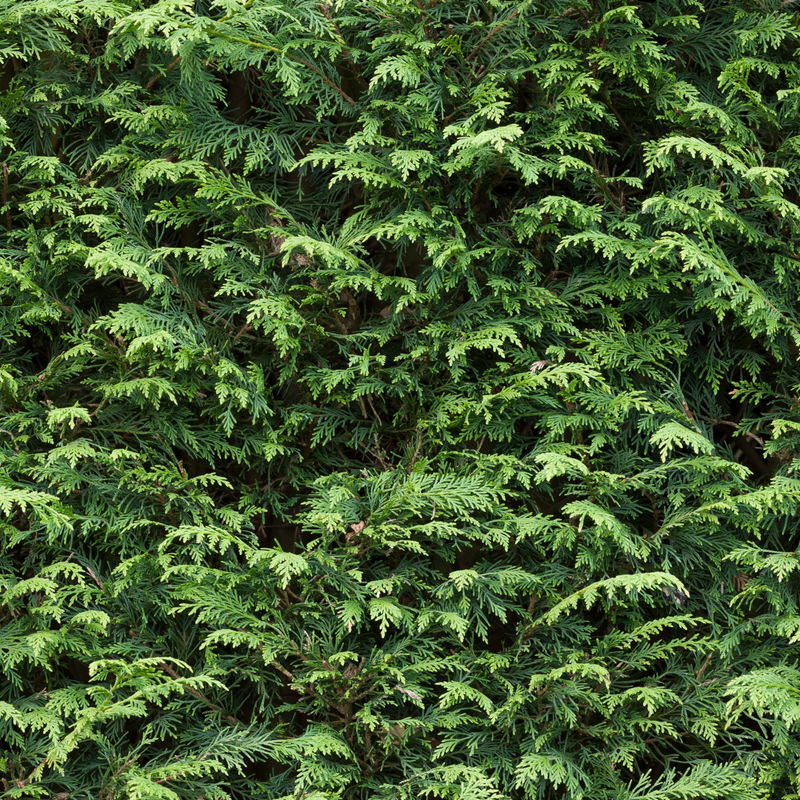 shutterstock_2070223772_9f8152e9-4c65-4d7d-9d72-12ceded842ef.png