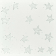 Silver Stars: Decorative Ceiling & Wall Panels - 2m2 (21.52 sqft) - 8 Panels - InStock