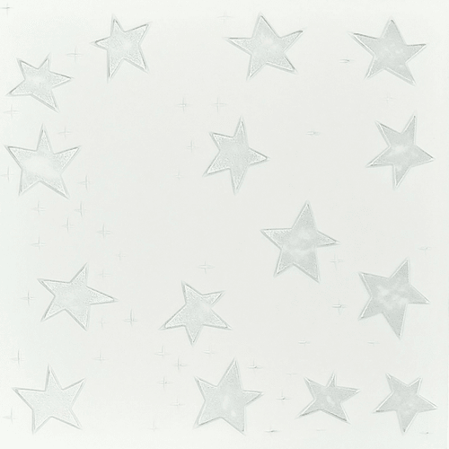 Silver Stars: Decorative Ceiling & Wall Panels - 2m2 (21.52 sqft) - 8 Panels - InStock