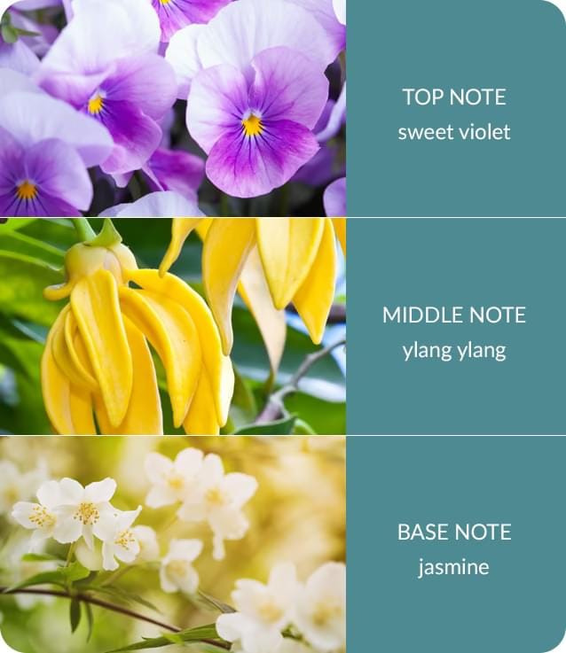 Simply Spa Essential Oil Blend  - 10ml Concentrated Oil