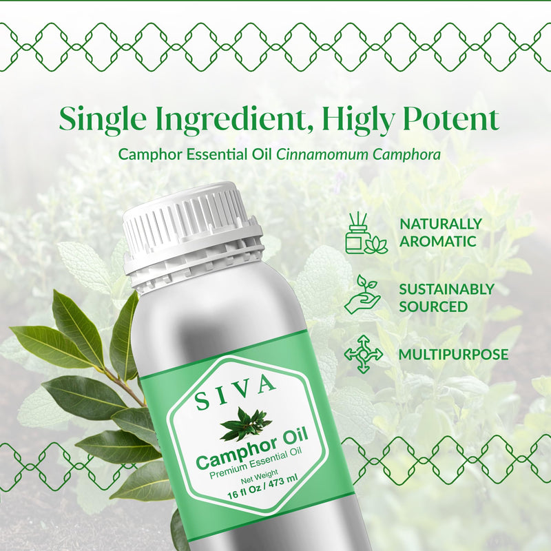 Siva Camphor Essential Oil - 16 oz | 100% Natural Camphor Oil for Diffuser, Skin, Hair & Aromatherapy