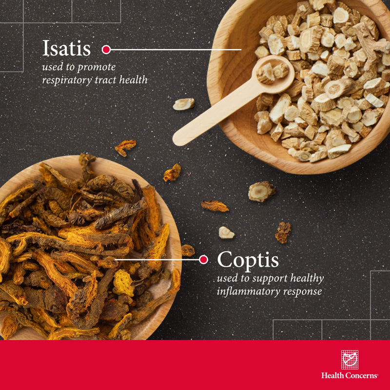 Health Concerns Coptis Purge Fire Formula – Skin, Throat, Sinus & Immune Support (90 Capsules)