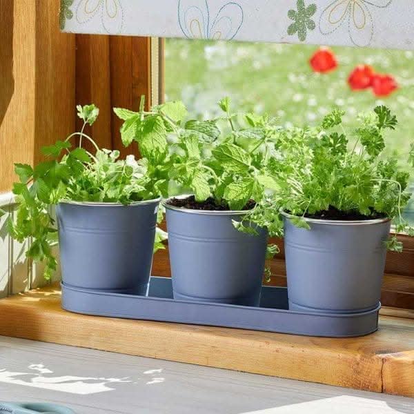 3x Slate Herb Pots & Drip Tray Set