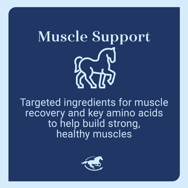 SmartEquine Acetyl L-Carnitine HCL Powder – Horse Energy & Muscle